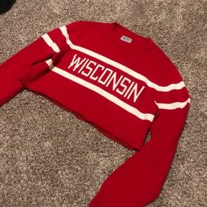 Vintage Wisconsin Badger Crop Sweater